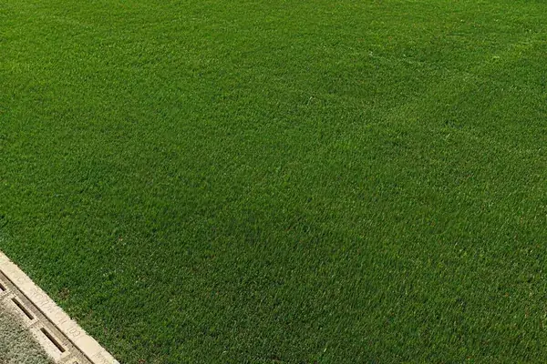The carpet laid on a stadium pitch, seen from pitch level with the drain channel at the edge